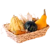 Kürbisse