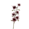 bellaflora Gartencenter GmbH