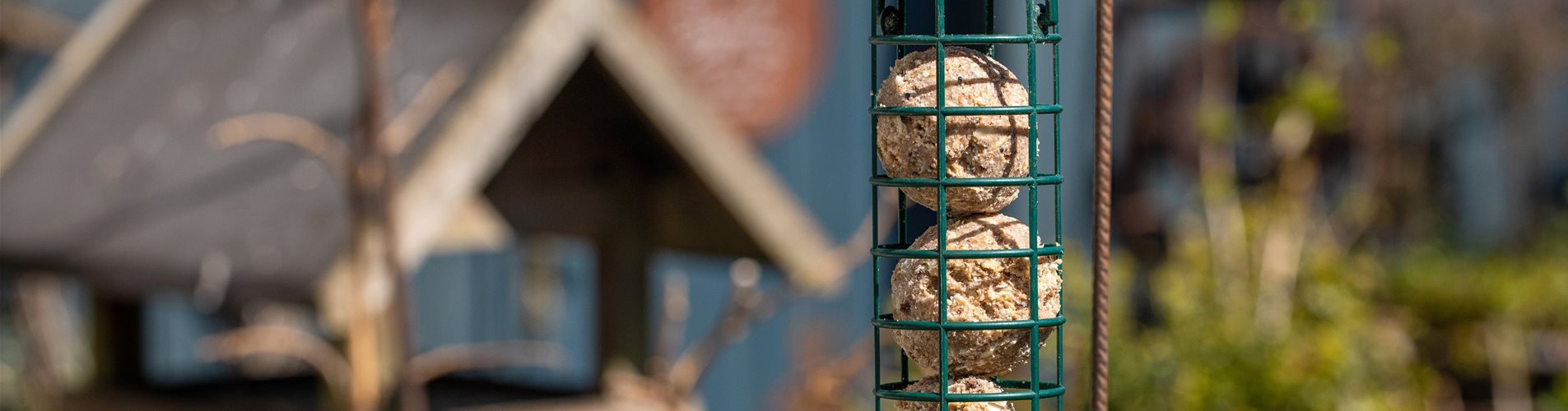 Vogelfutter und Vogelhaus Vogelfutter und Vogelhaus