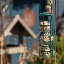 Vogelfutter Zubehör