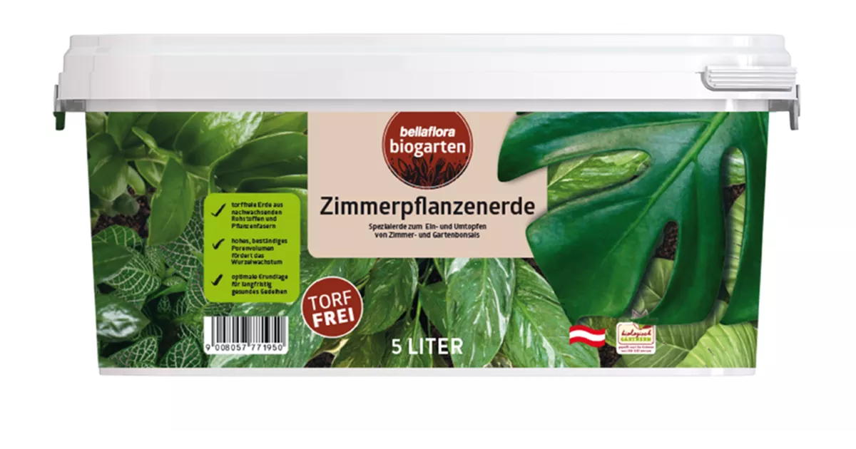 amazon bio saatgut Bio Zucchini | Saatgut mit Pflanzenkohle-Mantel