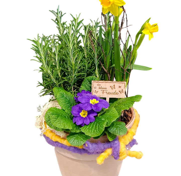 Set Kräuter-Frühling Set Kräuter-Frühling