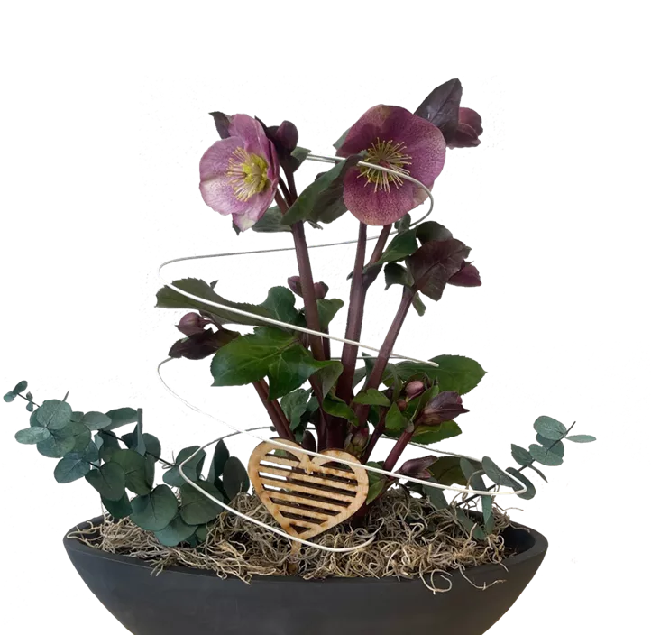 Arrangement Lenzrose  Arrangement Lenzrose