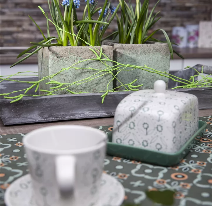 Traubenhyazinte 'Blue Smile'