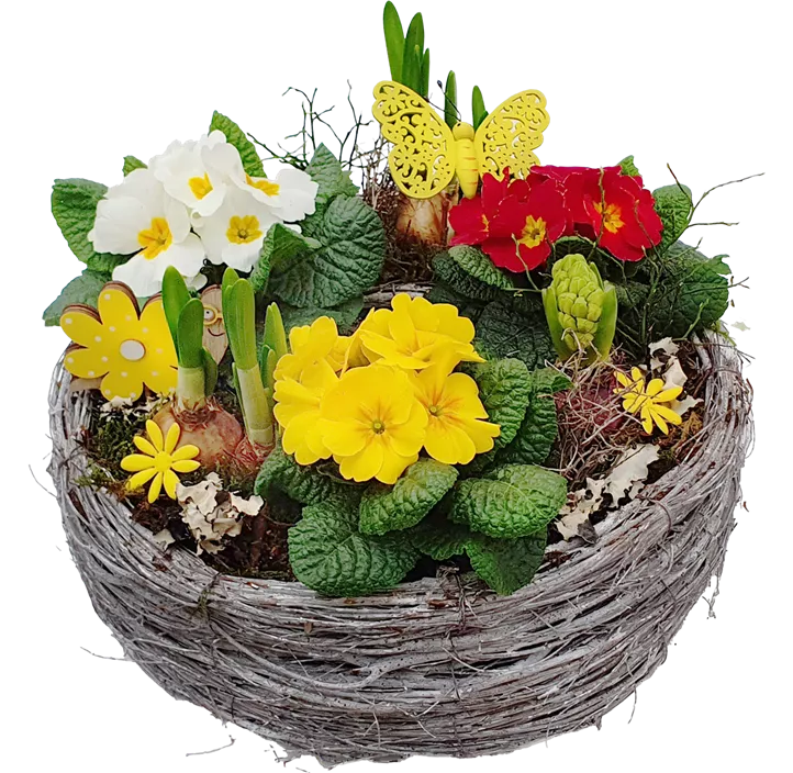 Arrangement Ostern Pflanzring 1