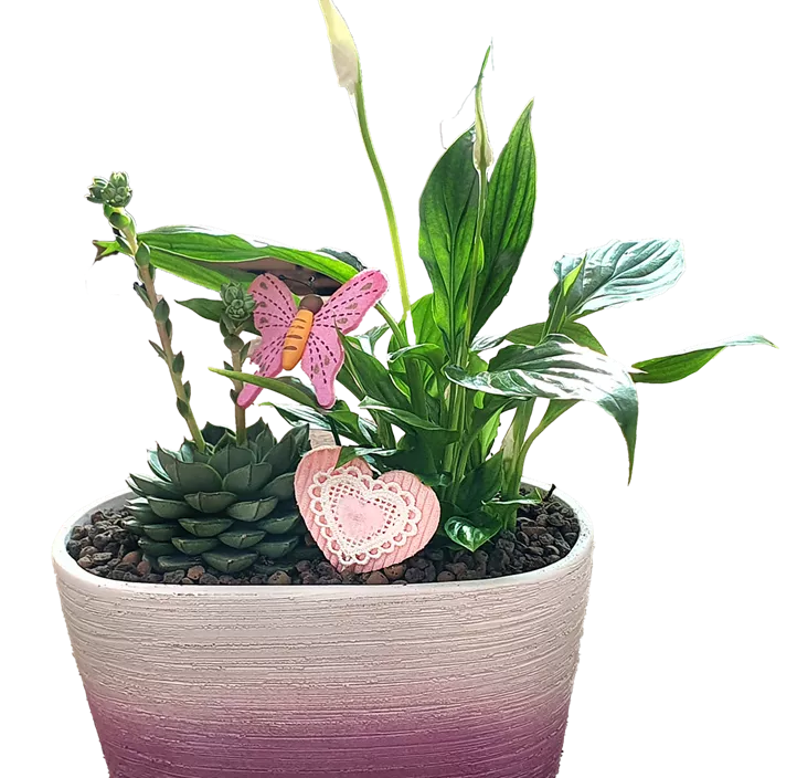 Arrangement Gitte Arrangement Gitte