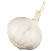 Steckzwiebeln & Knoblauch