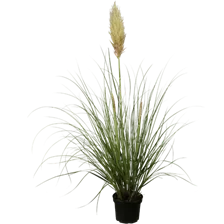 Gräser