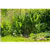 bellaflora Gartencenter GmbH
