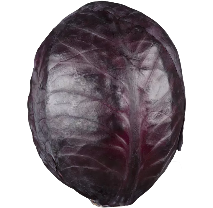 Rotkohl
