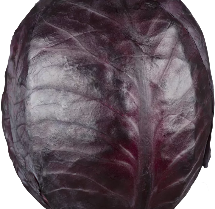 Rotkohl
