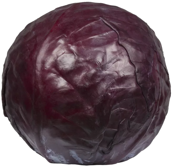 Rotkohl