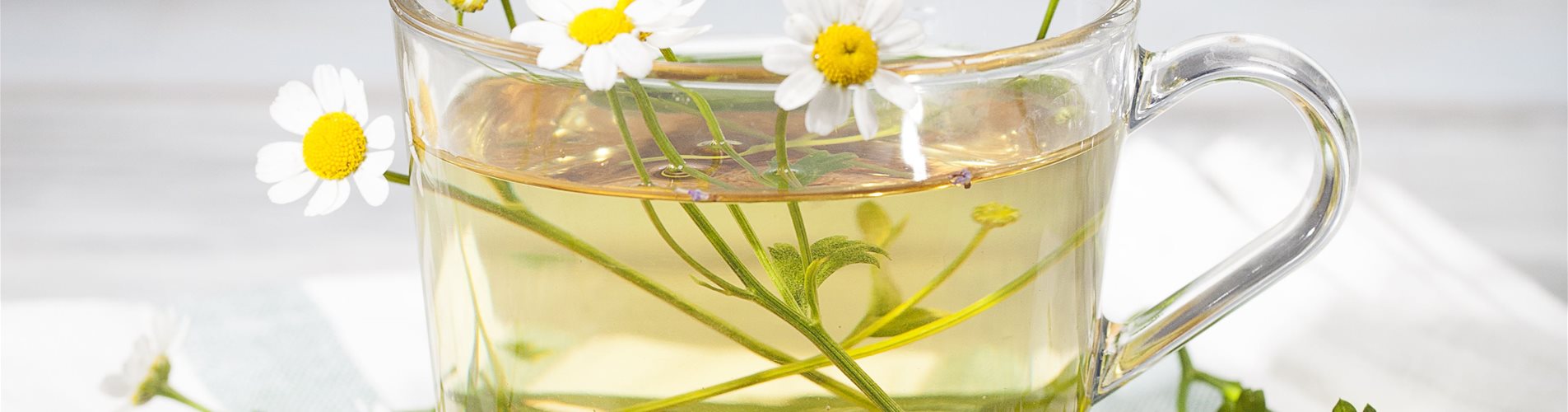 Kamillentee Kamillentee