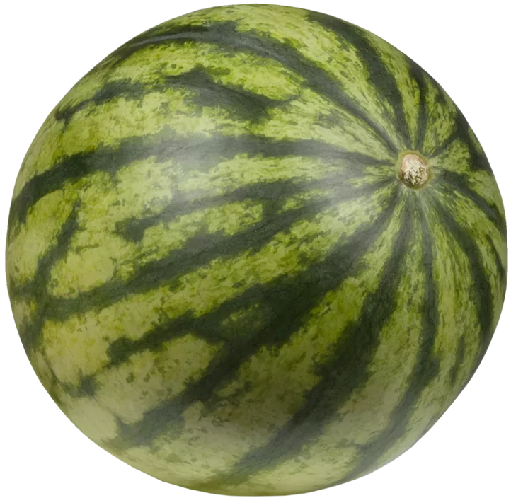 Wassermelone