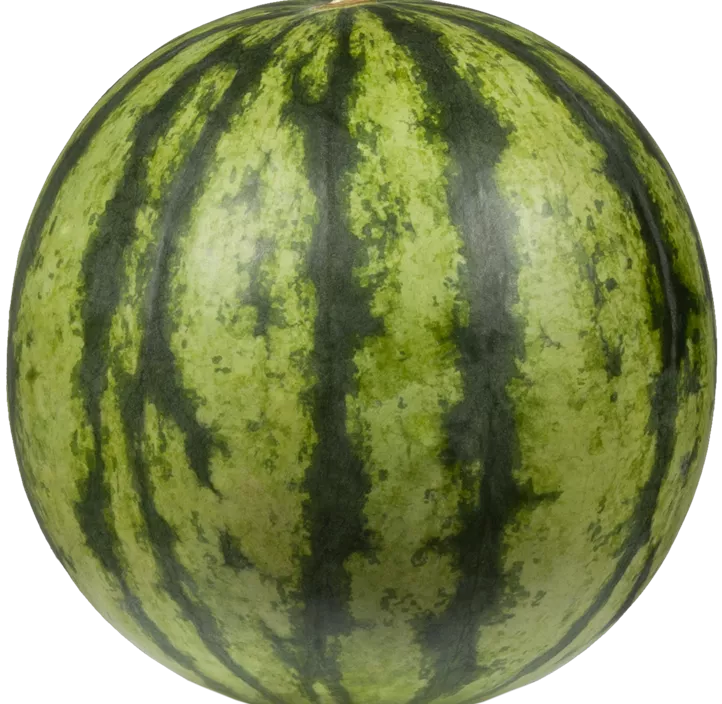 Wassermelone