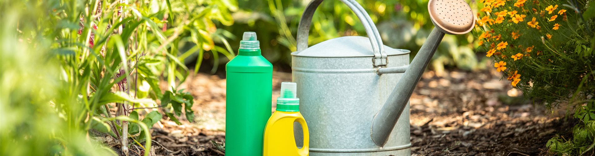 Dünger - Flüssigdünger und Gießkanne Dünger - Flüssigdünger und Gießkanne