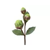 bellaflora Gartencenter GmbH