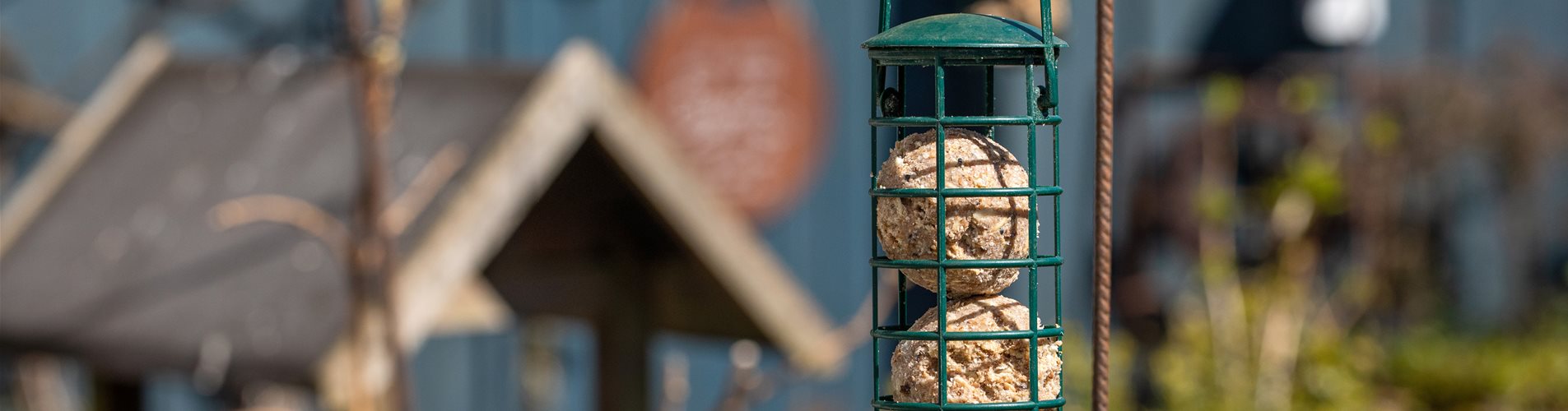 Vogelfutter und Vogelhaus Vogelfutter und Vogelhaus