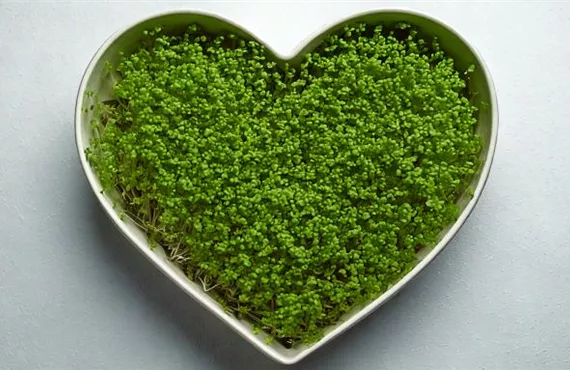 Kresseherz fertig.jpg