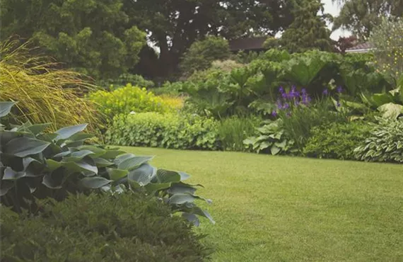 1681 (2) garten-pflanzen.jpg
