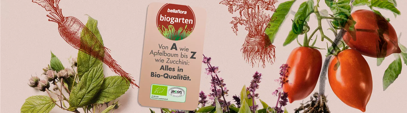 biogarten.jpg biogarten.jpg