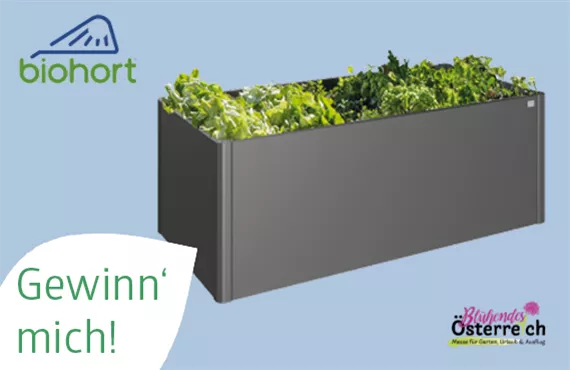 bild_gewinnspiel_messe-wels.png bild_gewinnspiel_messe-wels.png