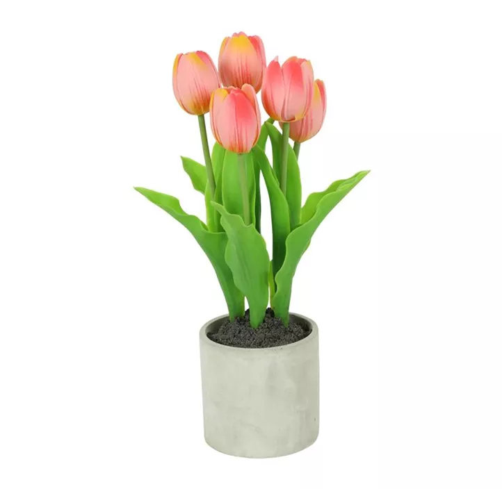 Tulpe im grauen Kunststoff Topf