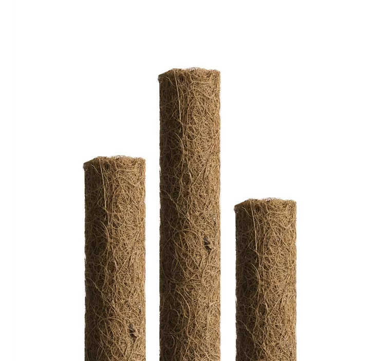 Kokos-Pflanzstäbe verlängerbar