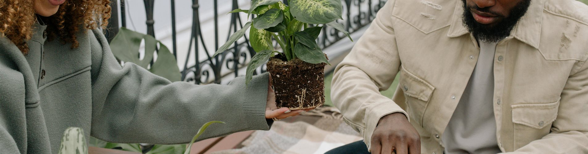 balkon-menschen balkon-menschen