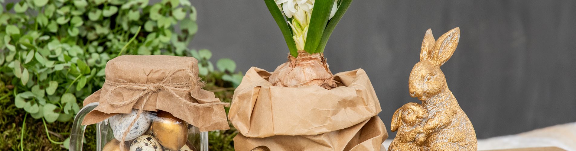 Ostern - Hyazinthen im Ambiente