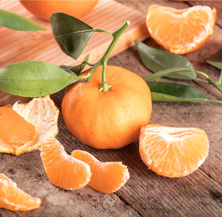 Clementine