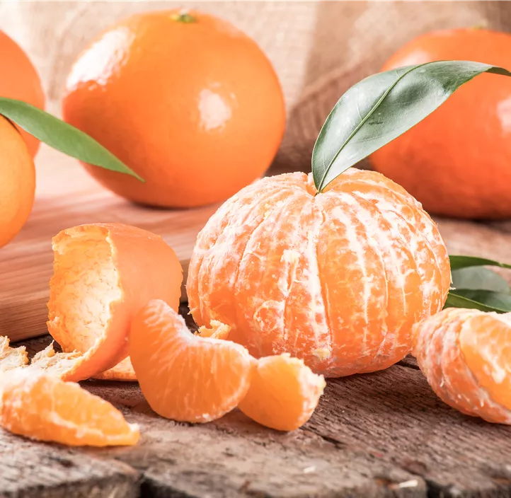 Clementine