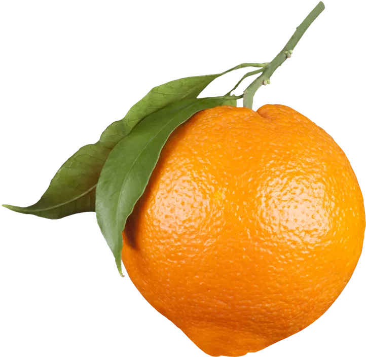 Orange Orange