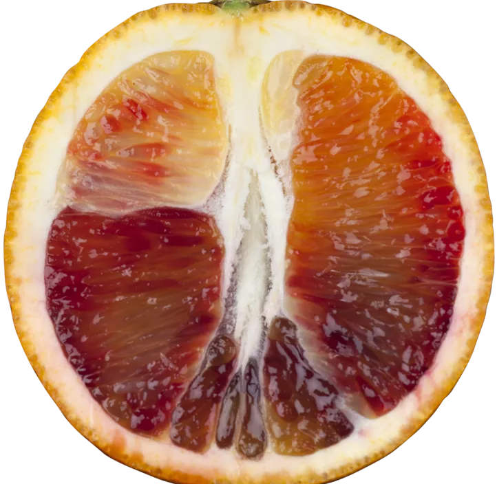 Blutorange 'Ippolito ' Blutorange 'Ippolito '