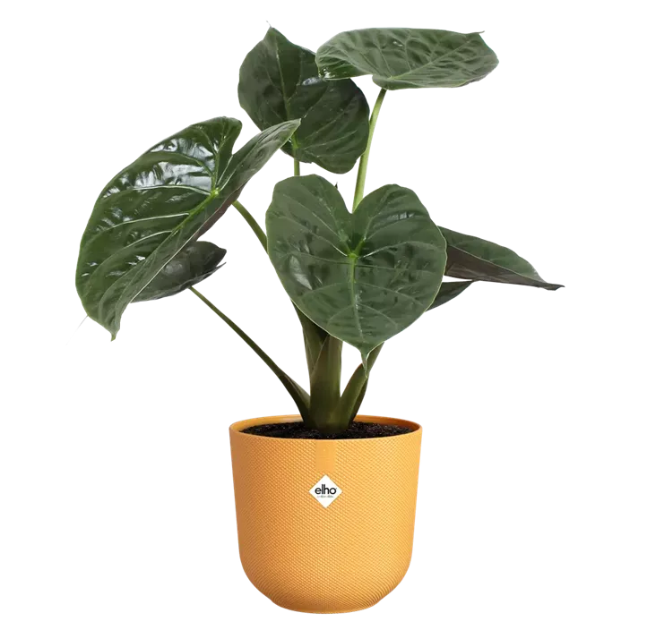 UV- & frostbeständig, 100 % Recyclingmaterial