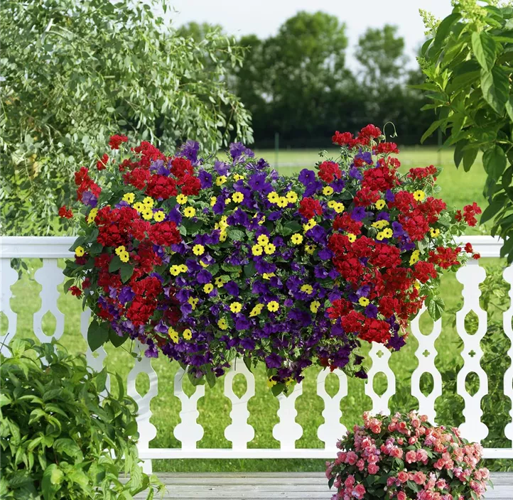 Bunter Balkon Sortenmix