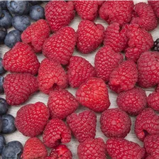 Beeren