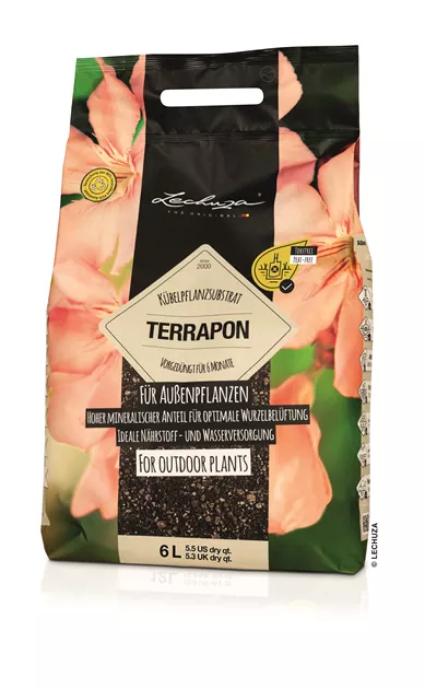 Lechuza Terrapon - Bellaflora