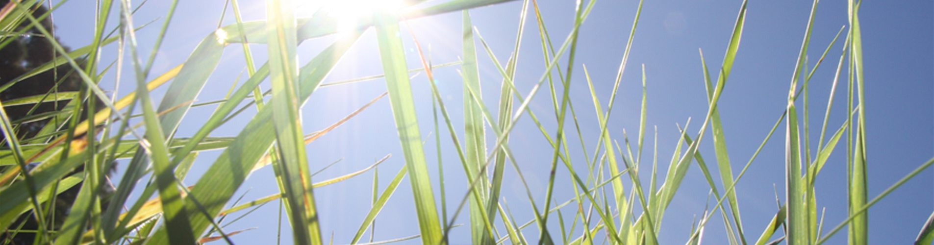 Fragen_und_Antworten Fragen_und_Antworten