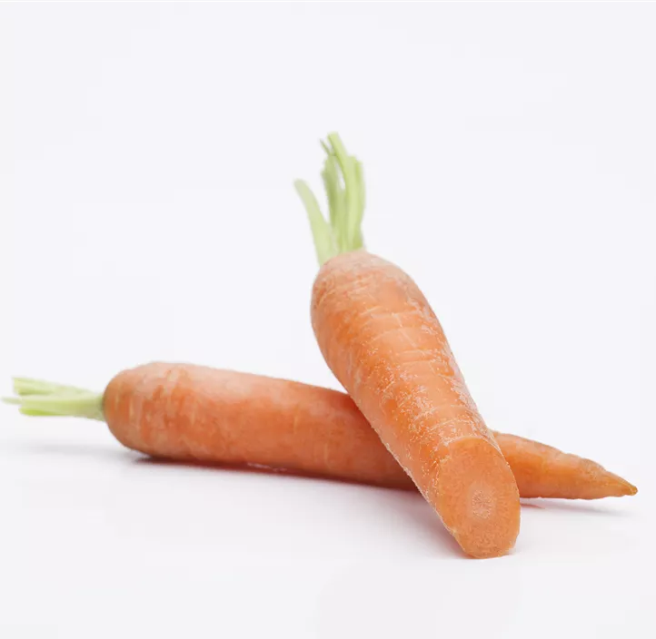 Gartenmöhre Gartenmöhre