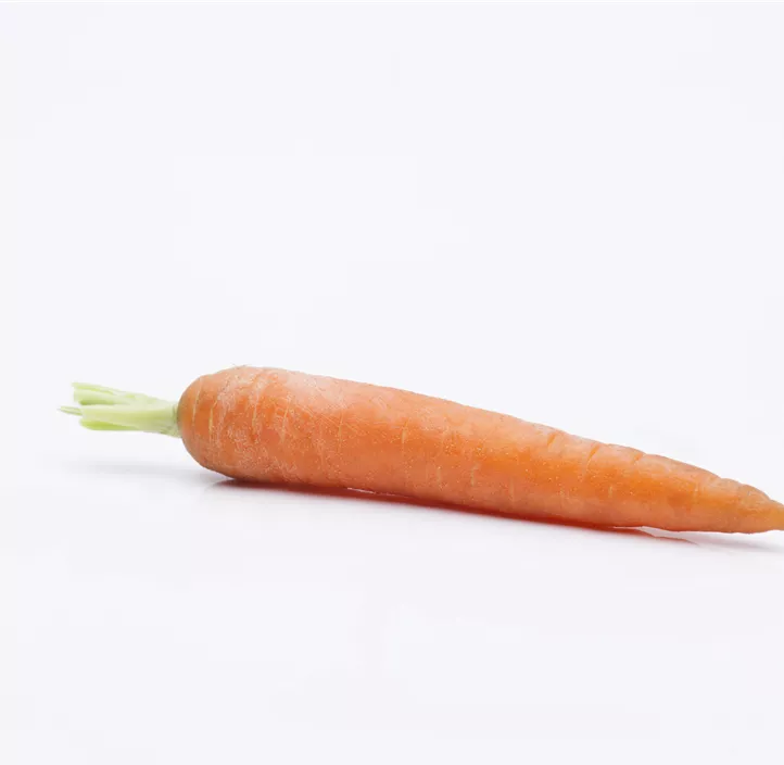 Gartenmöhre Gartenmöhre