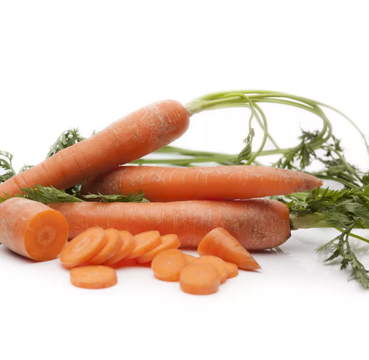 Gartenmöhre Gartenmöhre