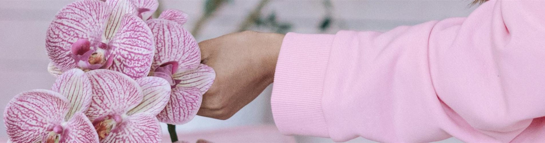 Orchideen-Vielfalt -Header v2-0-3051-2435-521 Orchideen-Vielfalt -Header v2-0-3051-2435-521