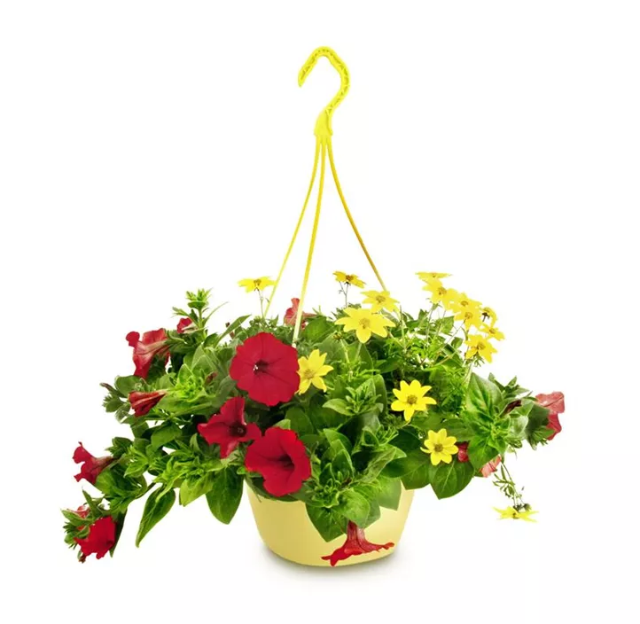 Sommerblumen Ampel