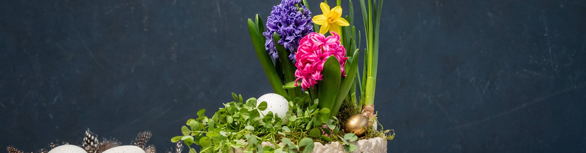 Ostern - Topfbepflanzung mit Frühblühern Ostern - Topfbepflanzung mit Frühblühern