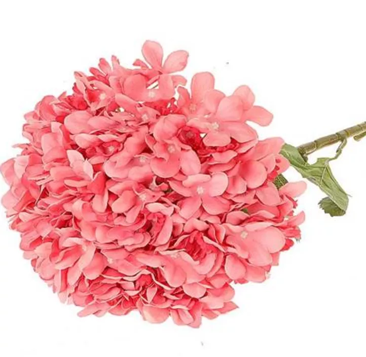 Hortensie, pink