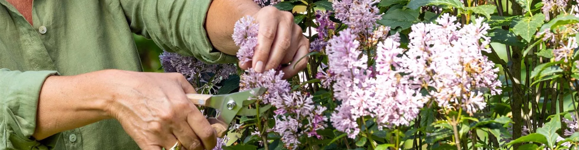 Neue Frage - Bellaflora Neue Frage - Bellaflora