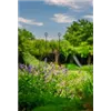 bellaflora Gartencenter GmbH