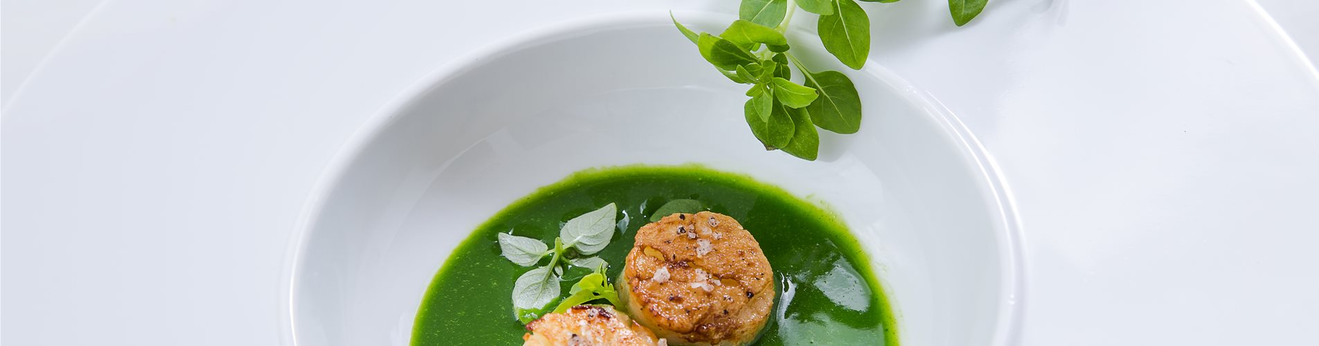 Basilikum-Spinatsuppe Basilikum-Spinatsuppe