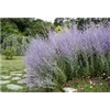 bellaflora Gartencenter GmbH